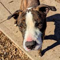 Thumbnail photo of Cousin Randy #1