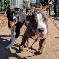 Thumbnail photo of Cousin Randy #2