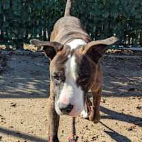 Thumbnail photo of Cousin Randy #3