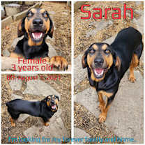 Thumbnail photo of Sarah #3