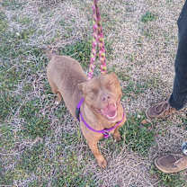 Thumbnail photo of Coco Marie #2