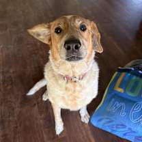 Thumbnail photo of Penny #4