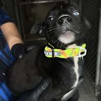 Thumbnail photo of Ethan #2