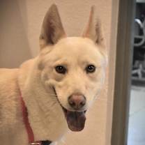 Thumbnail photo of Ivy #2