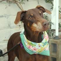 Thumbnail photo of DARLA #2