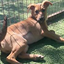 Thumbnail photo of Amanda #3