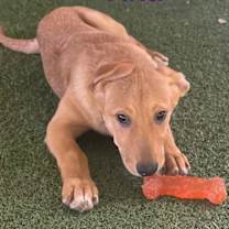 Thumbnail photo of Aria #3