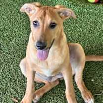 Thumbnail photo of Anna #2