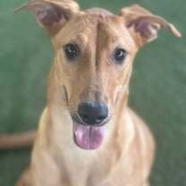 Thumbnail photo of Anna #1