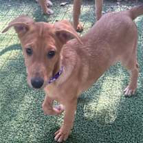 Thumbnail photo of Andy #1