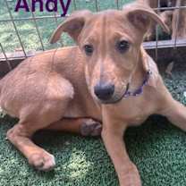 Thumbnail photo of Andy #2