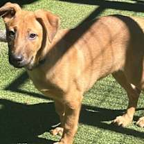 Thumbnail photo of Axel #1