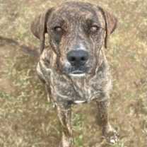 Thumbnail photo of Alaska #1