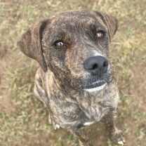 Thumbnail photo of Alaska #2