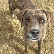 Thumbnail photo of Alaska #3