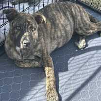 Thumbnail photo of Eden #2