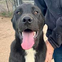 Thumbnail photo of HOLT #4