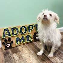 Thumbnail photo of Ryker #3