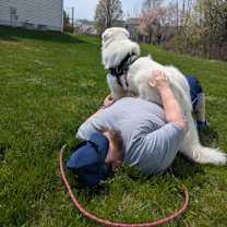 Thumbnail photo of Remy #2