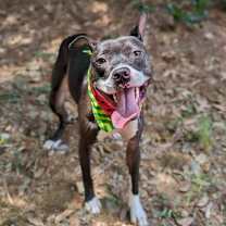 Thumbnail photo of Talia #1