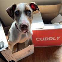 Thumbnail photo of Clint Barton #3