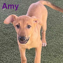 Thumbnail photo of Amy #3