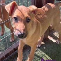 Thumbnail photo of Amy #2