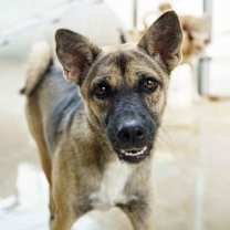 Thumbnail photo of Lullabell #1