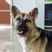 Thumbnail photo of Lullabell #2