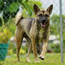 Thumbnail photo of Lullabell #3