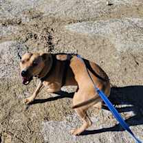 Thumbnail photo of Becca #3