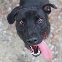 Thumbnail photo of Bayou #1