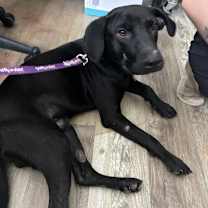 Thumbnail photo of Bayou #2