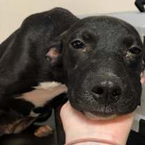 Thumbnail photo of Toes #3