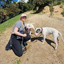 Thumbnail photo of Blankets #2