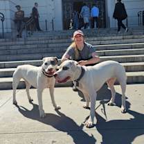 Thumbnail photo of Blankets #3