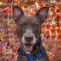 Thumbnail photo of Ray Ray #1