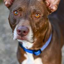 Thumbnail photo of Ray Ray #2