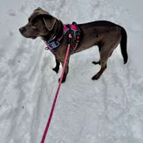 Thumbnail photo of Jasmine #2