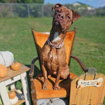 Thumbnail photo of Reba #4