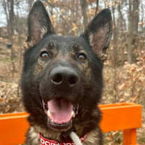 Thumbnail photo of Maverick #1