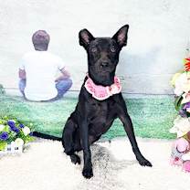 Thumbnail photo of WHOOPI #4