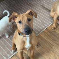 Thumbnail photo of Clark #2