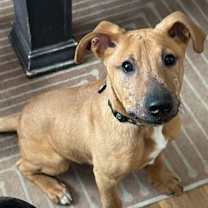 Thumbnail photo of Clark #3