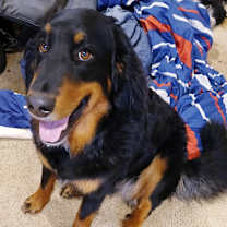 Thumbnail photo of Lady #2