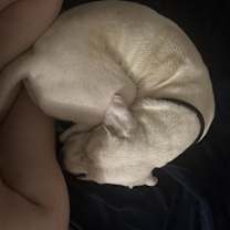 Thumbnail photo of Casper #3