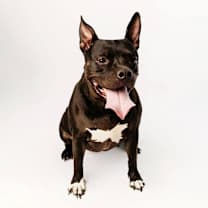 Thumbnail photo of Penny #3