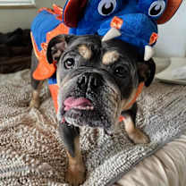 Thumbnail photo of Andy #2