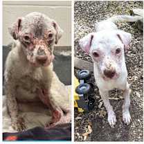 Thumbnail photo of Smarty Marty SPC #3