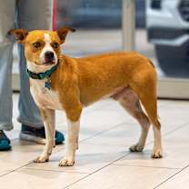 Thumbnail photo of Galveston #1